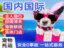 南阳姜营机场快递国际宠物托运 【国